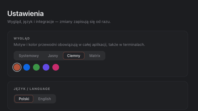 Sekcja Wygląd w Ustawieniach: motywy, akcenty i język interfejsu